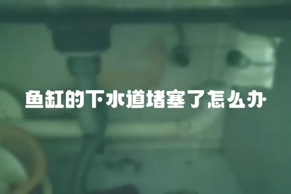魚缸的下水道堵塞了怎么辦