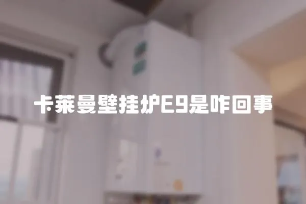 卡萊曼壁掛爐E9是咋回事