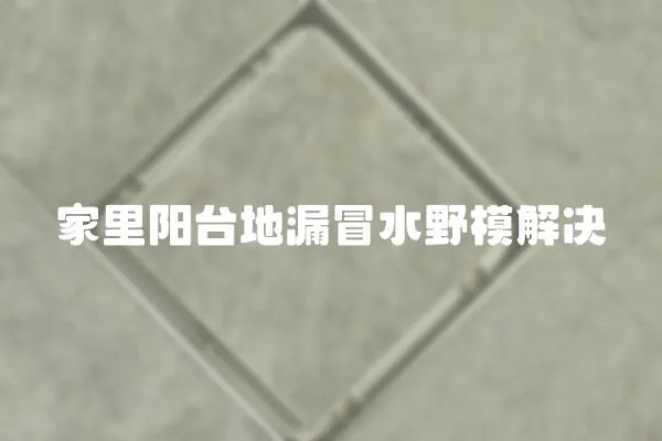 家里陽臺地漏冒水野模解決