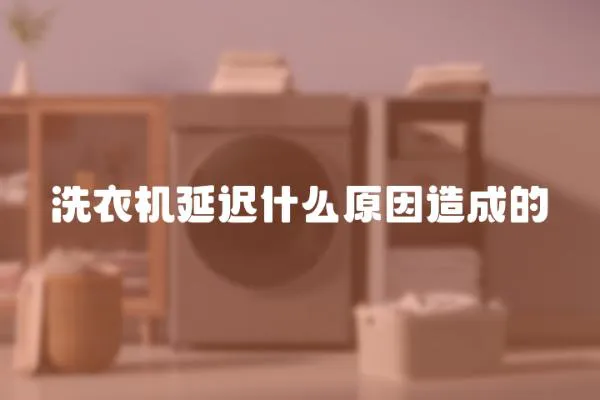 洗衣機延遲什么原因造成的