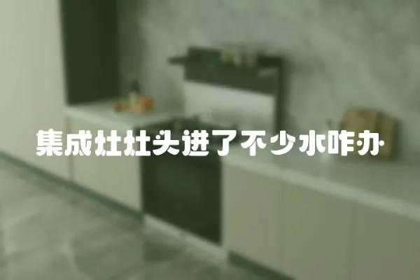 集成灶灶頭進了不少水咋辦