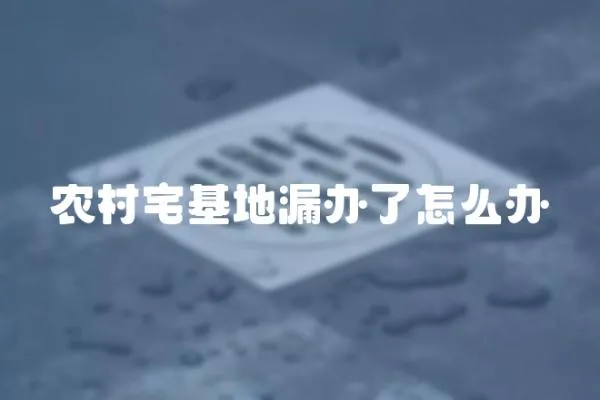 農(nóng)村宅基地漏辦了怎么辦