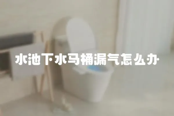水池下水馬桶漏氣怎么辦