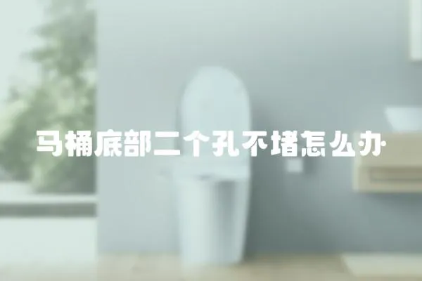 馬桶底部二個孔不堵怎么辦