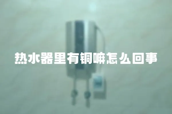 熱水器里有銅嘛怎么回事