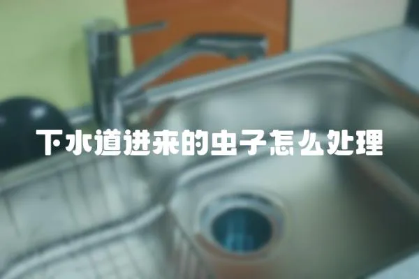 下水道進來的蟲子怎么處理