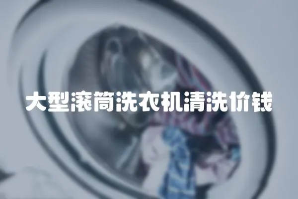大型滾筒洗衣機清洗價錢