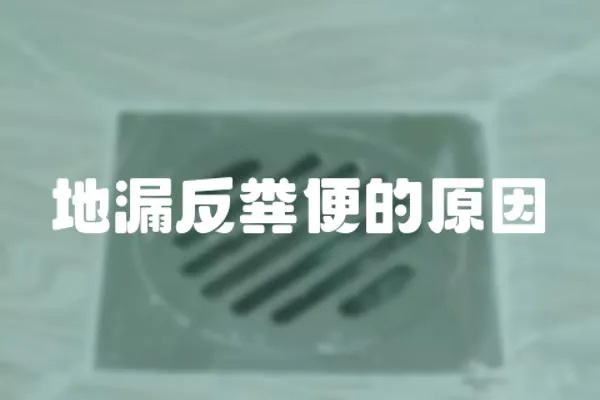 地漏反糞便的原因