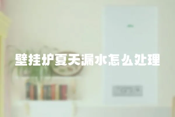 壁掛爐夏天漏水怎么處理