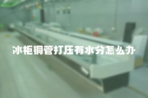 冰柜銅管打壓有水分怎么辦