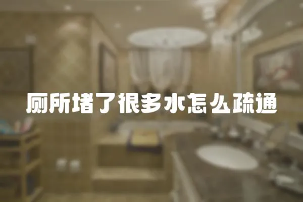 廁所堵了很多水怎么疏通