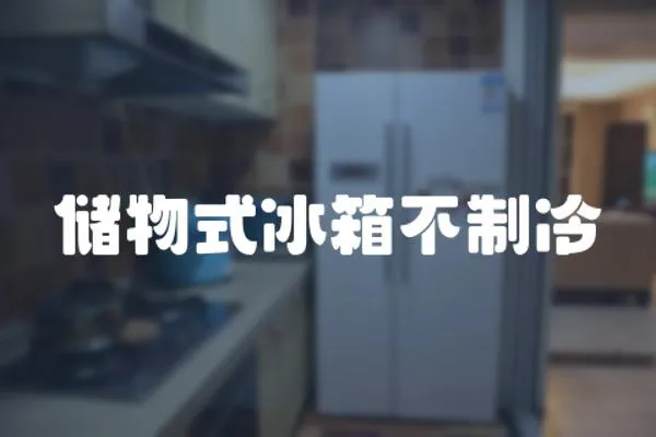 儲(chǔ)物式冰箱不制冷