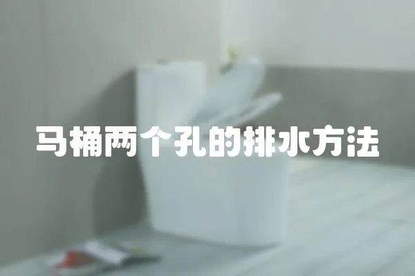 馬桶兩個孔的排水方法