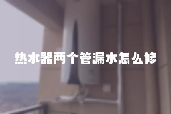 熱水器兩個管漏水怎么修