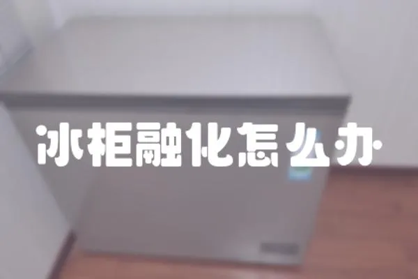 冰柜融化怎么辦