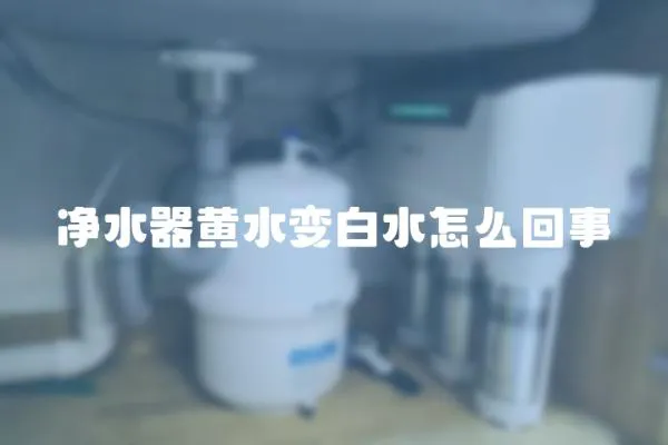 凈水器黃水變白水怎么回事