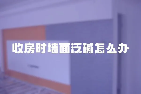 收房時墻面泛堿怎么辦