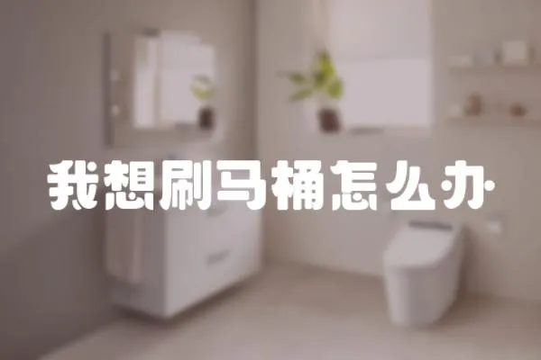 我想刷馬桶怎么辦