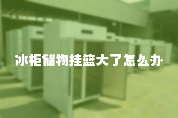 冰柜儲物掛籃大了怎么辦