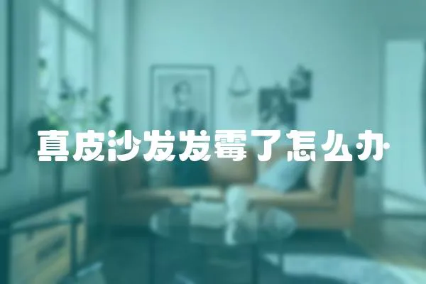 真皮沙發發霉了怎么辦
