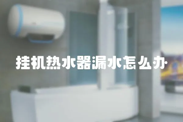 掛機熱水器漏水怎么辦