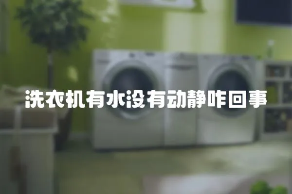 洗衣機(jī)有水沒有動(dòng)靜咋回事
