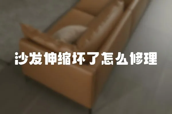 沙發(fā)伸縮壞了怎么修理