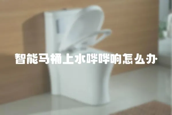智能馬桶上水嘩嘩響怎么辦