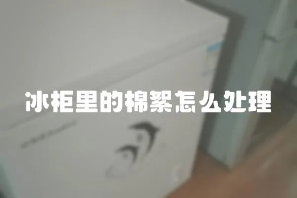 冰柜里的棉絮怎么處理