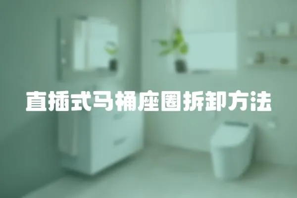 直插式馬桶座圈拆卸方法