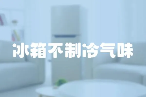 冰箱不制冷氣味