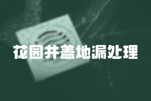 花園井蓋地漏處理