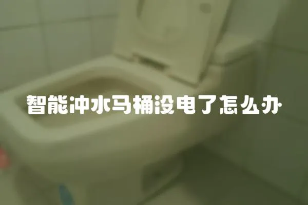 智能冲水马桶没电了怎么办