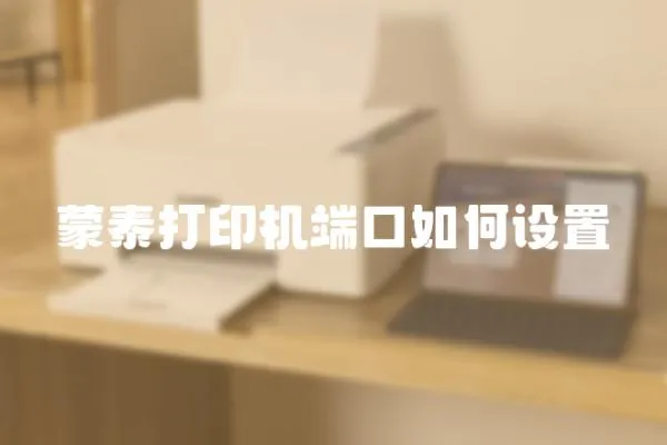 蒙泰打印機端口如何設(shè)置