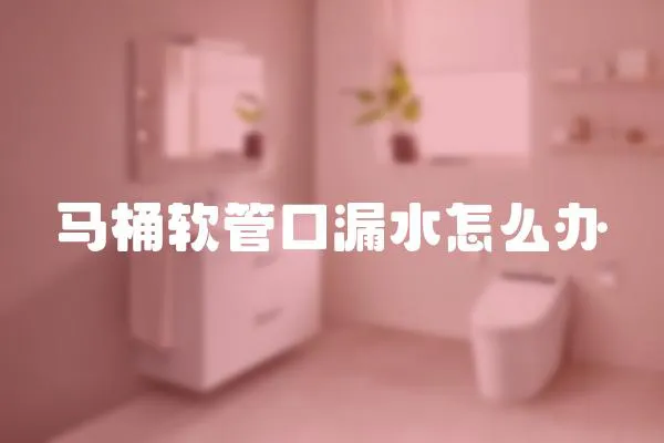 馬桶軟管口漏水怎么辦