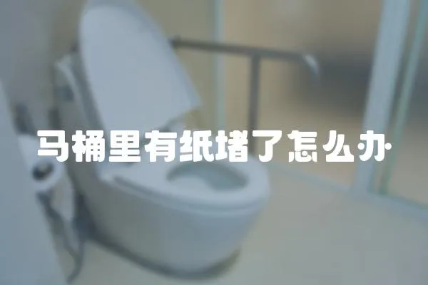 馬桶里有紙堵了怎么辦