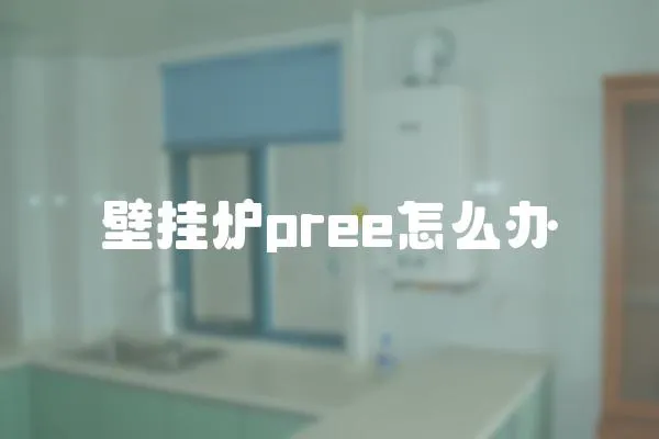 壁掛爐pree怎么辦