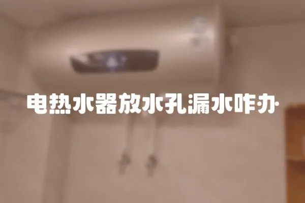 電熱水器放水孔漏水咋辦