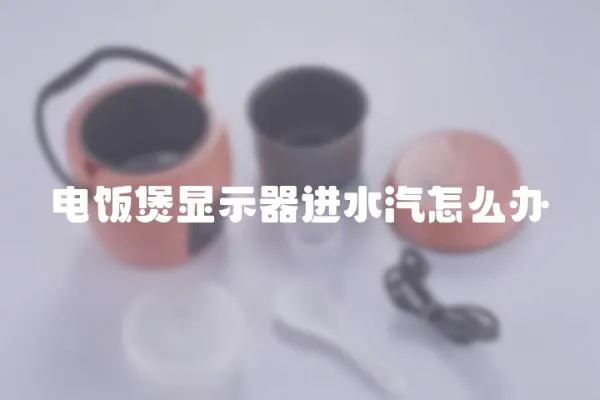 电饭煲显示器进水汽怎么办