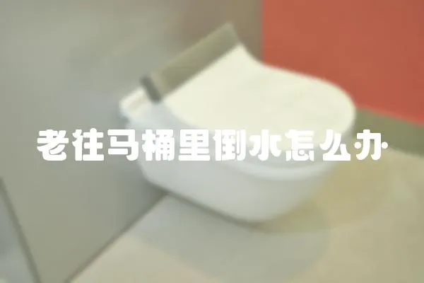 老往馬桶里倒水怎么辦
