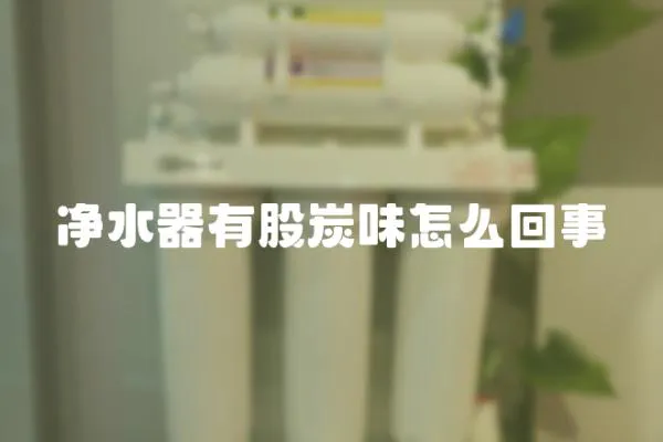 凈水器有股炭味怎么回事
