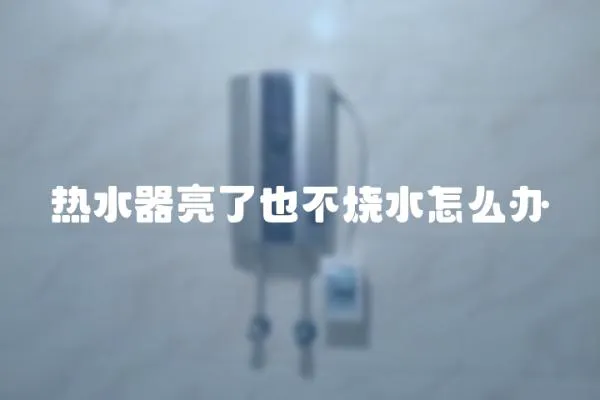 熱水器亮了也不燒水怎么辦
