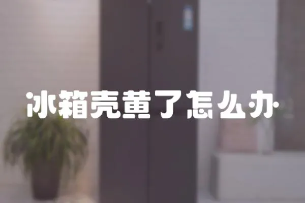 冰箱殼黃了怎么辦
