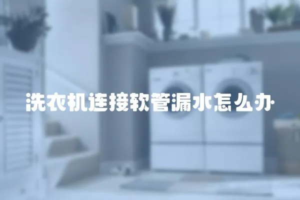 洗衣機連接軟管漏水怎么辦