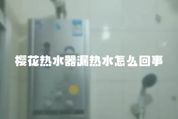 櫻花熱水器漏熱水怎么回事