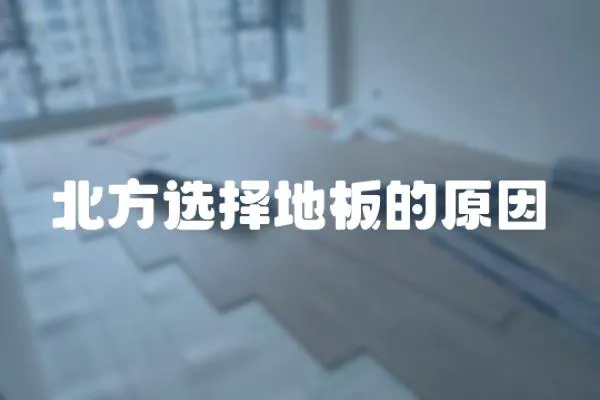 北方選擇地板的原因