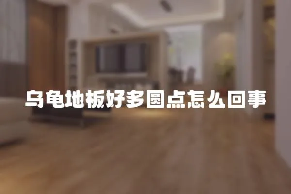 烏龜?shù)匕搴枚鄨A點怎么回事