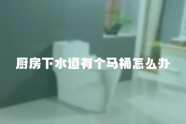 廚房下水道有個馬桶怎么辦