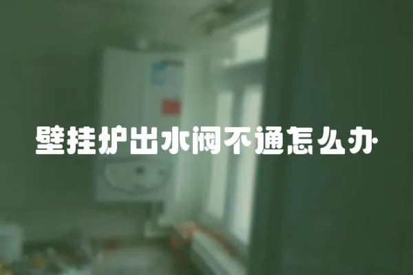 壁掛爐出水閥不通怎么辦