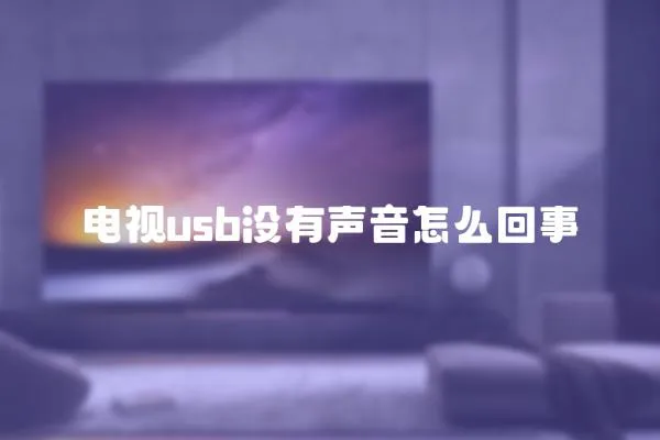 電視usb沒有聲音怎么回事